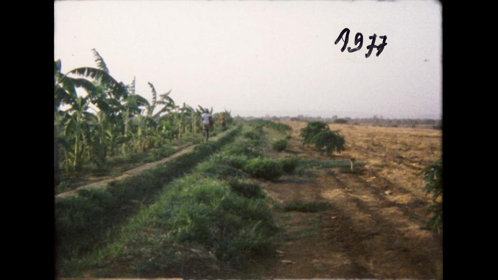 Crossing Voices Crossing Voices