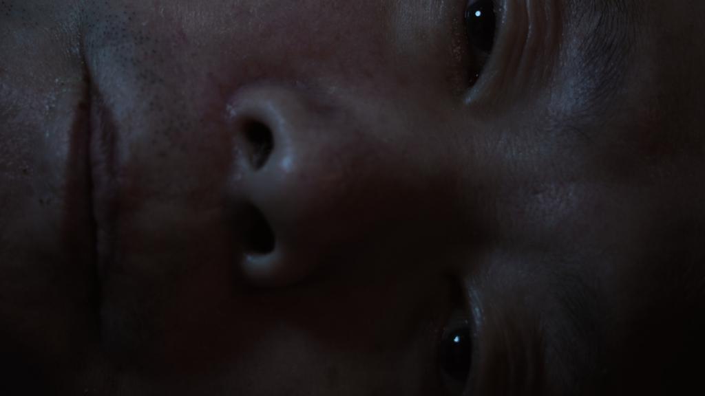 Mostra Internacional de Cine de Venecia - 2017 Mostra Internacional de Cine de Venecia - 2017