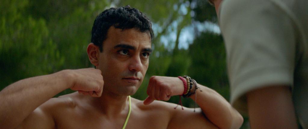 The Wolf and the Cat The Wolf and the Cat