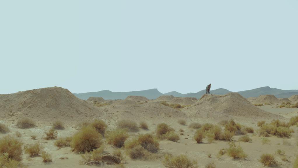 The Fissured Tower The Fissured Tower