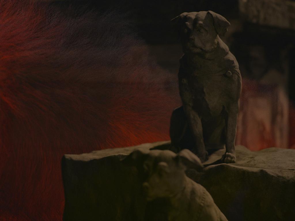 Festival del nuevo cine de Montreal - 2024