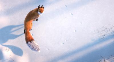The Short Story of a Fox and a Mouse The Short Story of a Fox and a Mouse