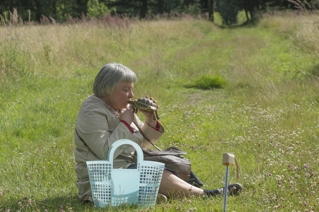 Demi-sœur Demi-sœur