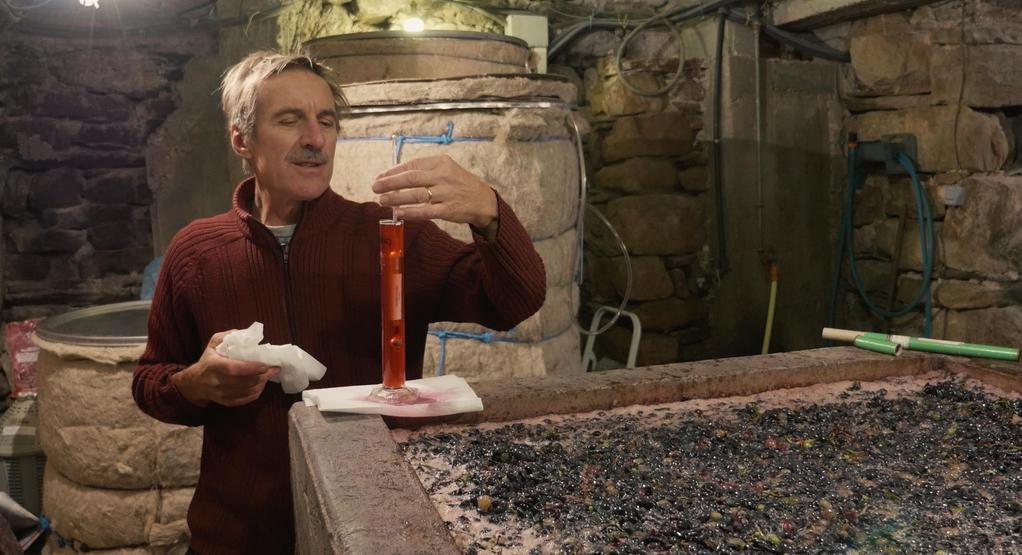 Vitis Prohibita - © Lumière du jour Vitis Prohibita - © Lumière du jour