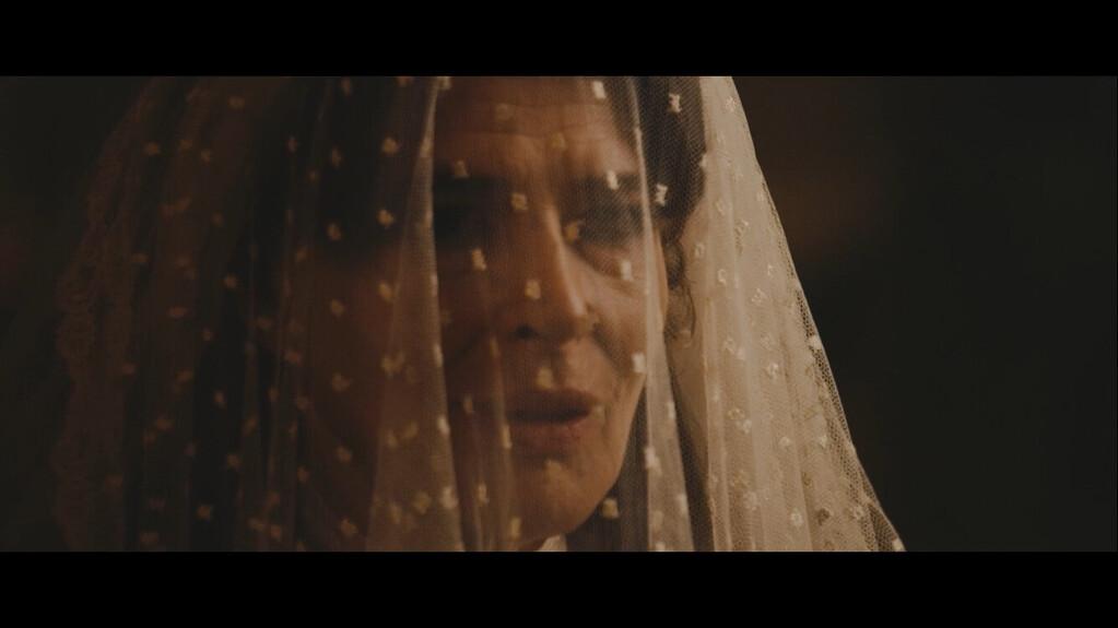 Salamandre Salamandre