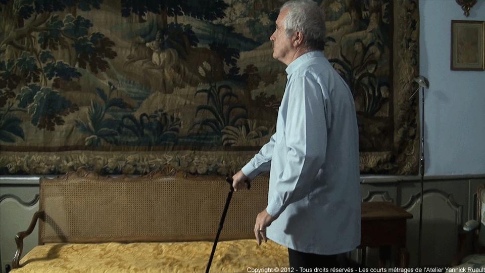 Reflexions in the Cat's Eyes Reflexions in the Cat's Eyes