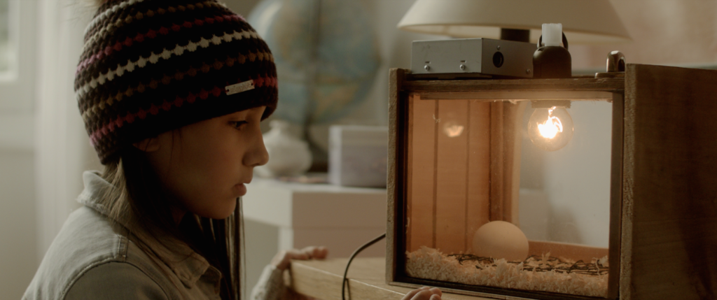 Festival de Cine Black Nights de Tallin - 2015