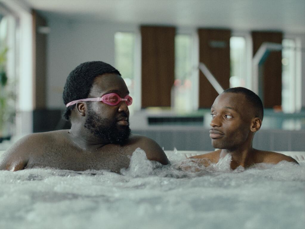 The Hedgehog's Dilemma The Hedgehog's Dilemma