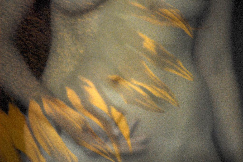 L'Alternativa - 2015