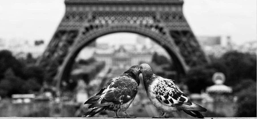 Come visit the City of Light thanks to MyFrenchFilmFestival! Come visit the City of Light thanks to MyFrenchFilmFestival!