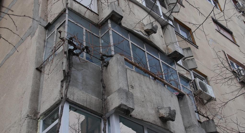 Vitis Prohibita - © Lumière du jour Vitis Prohibita - © Lumière du jour