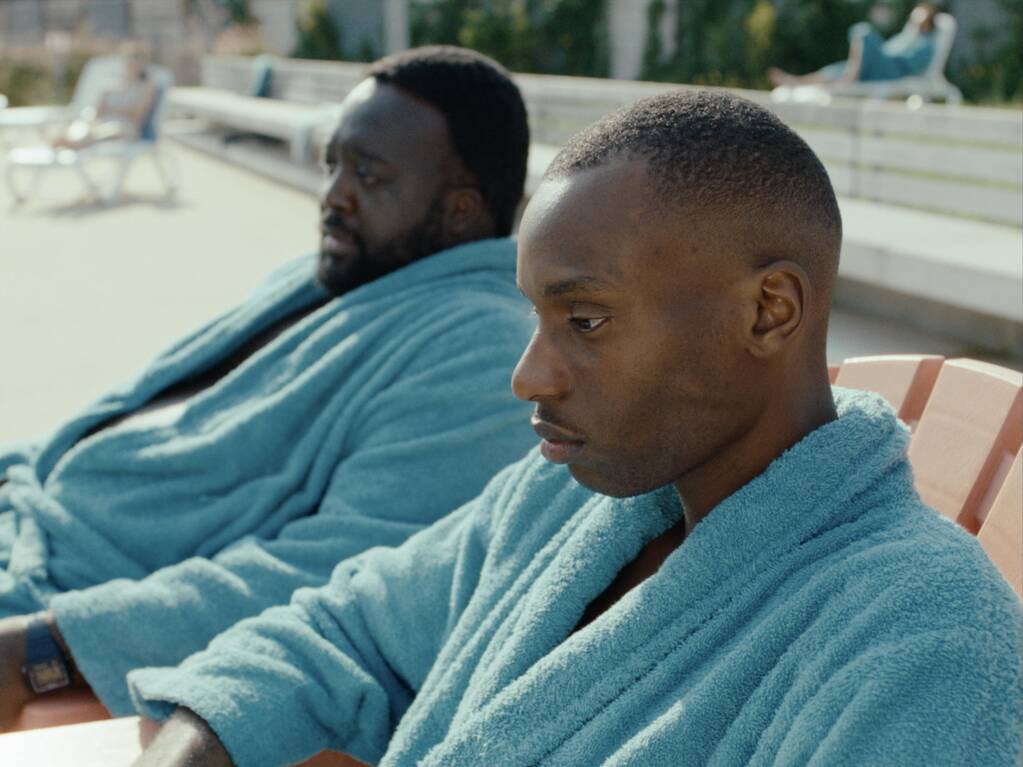 The Hedgehog's Dilemma The Hedgehog's Dilemma