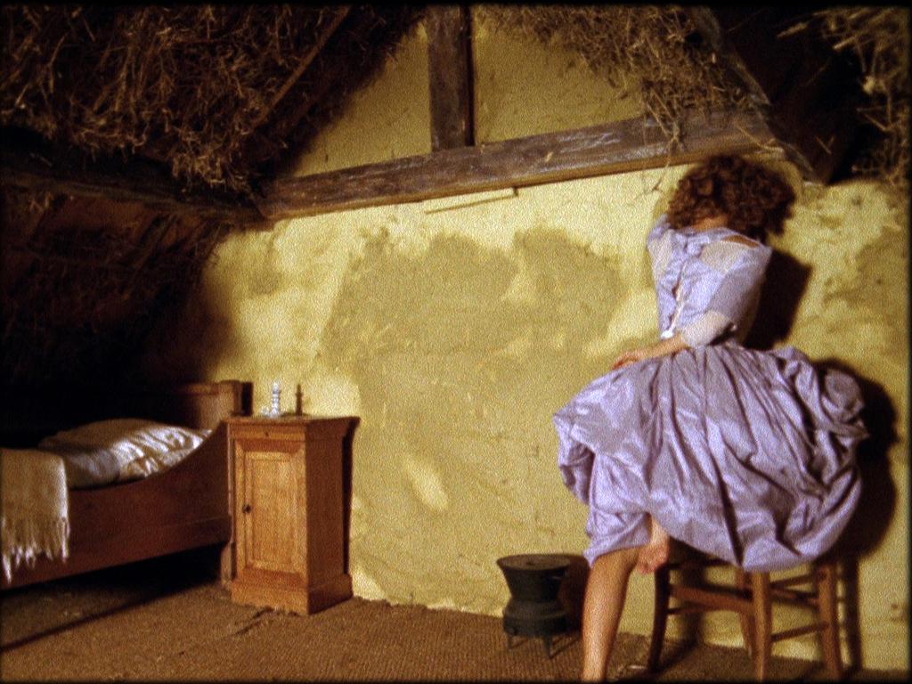 Sacha the Bear Sacha the Bear