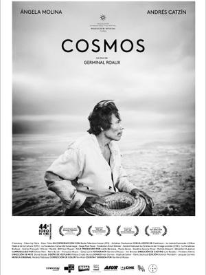 Cosmos - Mexico