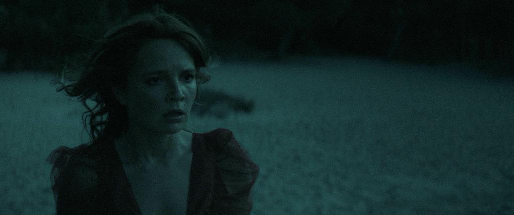 The Wolf and the Cat The Wolf and the Cat