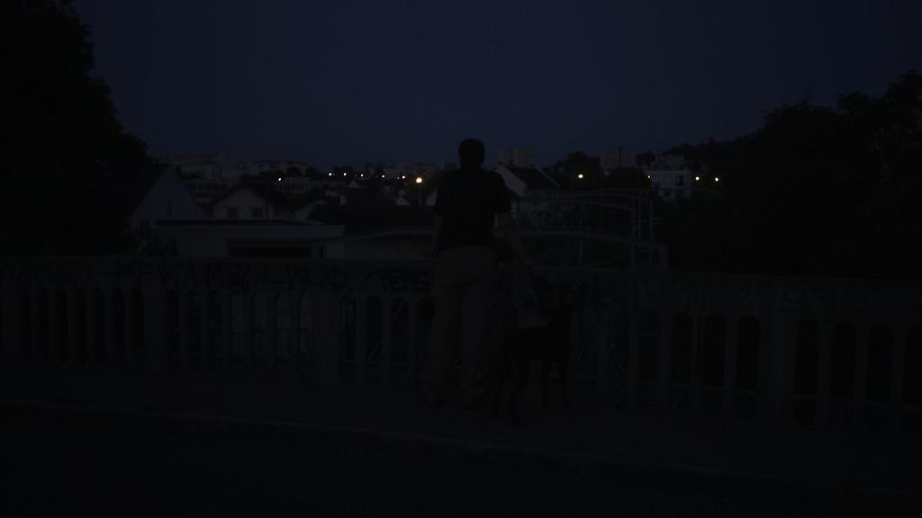 Festival Internacional de Curtas de São Paulo - 2012 Festival Internacional de Curtas de São Paulo - 2012