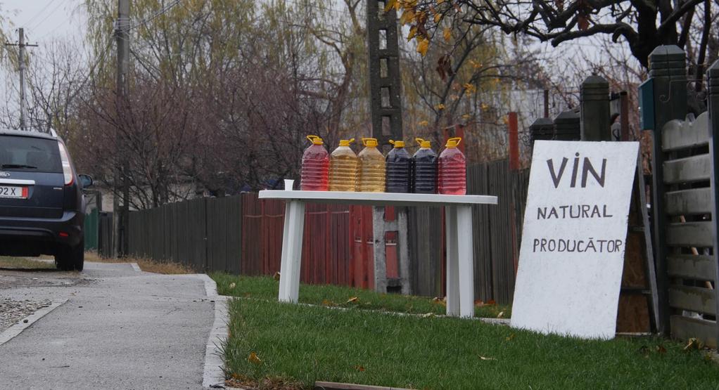 Vitis Prohibita - © Lumière du jour Vitis Prohibita - © Lumière du jour