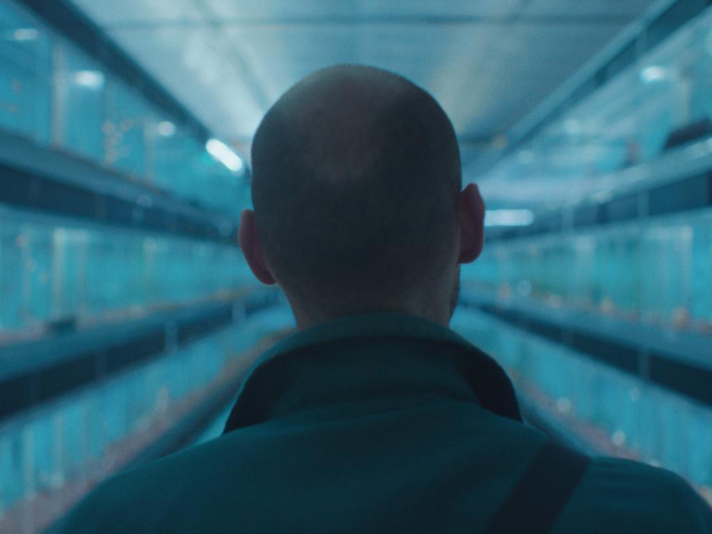 Amphibious Amphibious