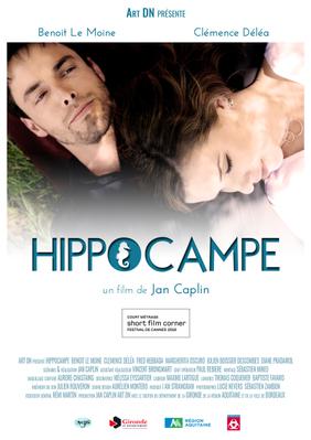 Hippocampe Hippocampe