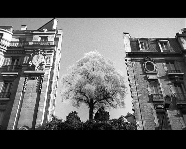 Ghislain De Vaulx Ghislain De Vaulx