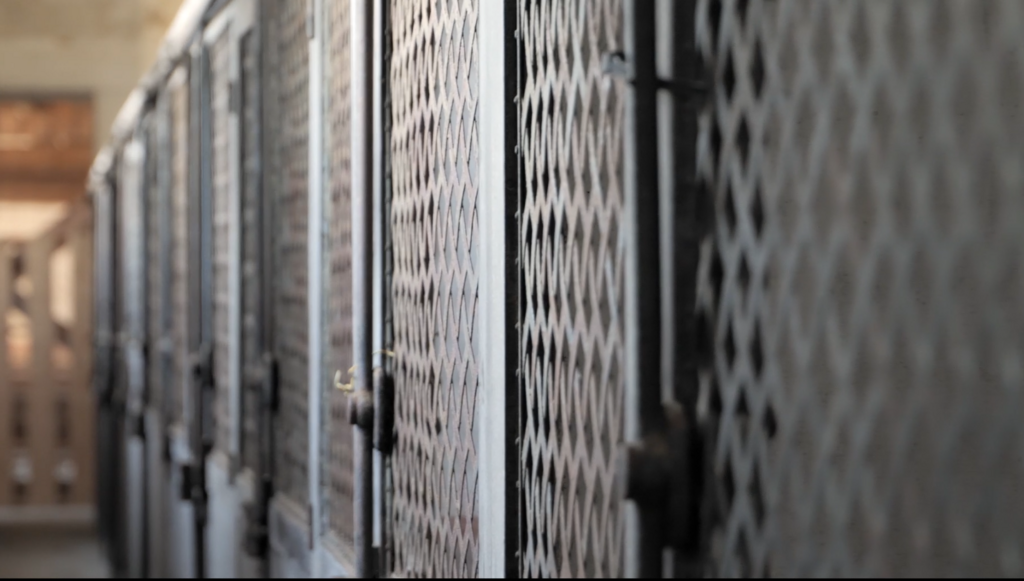 À l'ombre de l'abbaye de Clairvaux À l'ombre de l'abbaye de Clairvaux