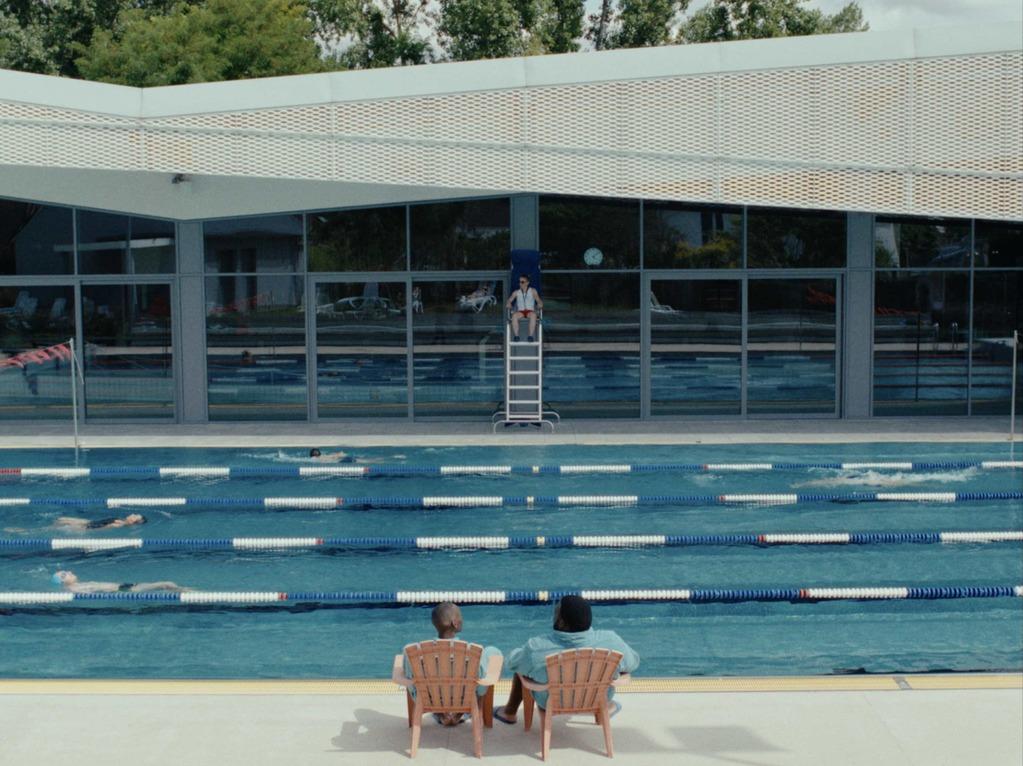 The Hedgehog's Dilemma The Hedgehog's Dilemma