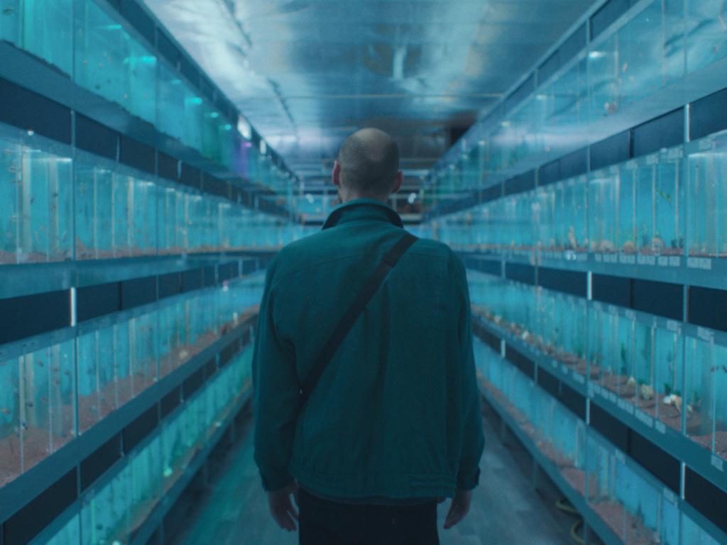 Amphibious Amphibious