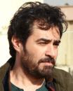 Shahab Hosseini - © Habib_Majid Shahab Hosseini - © Habib_Majid