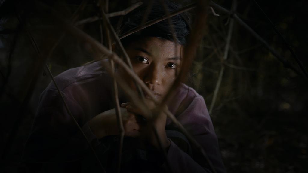 Tout un monde lointain