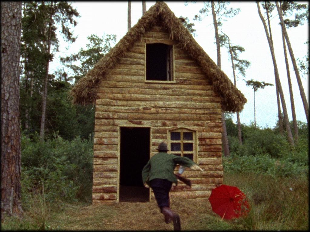 Sacha the Bear Sacha the Bear