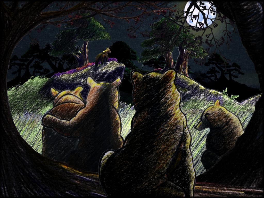 Sacha l'ours Sacha l'ours