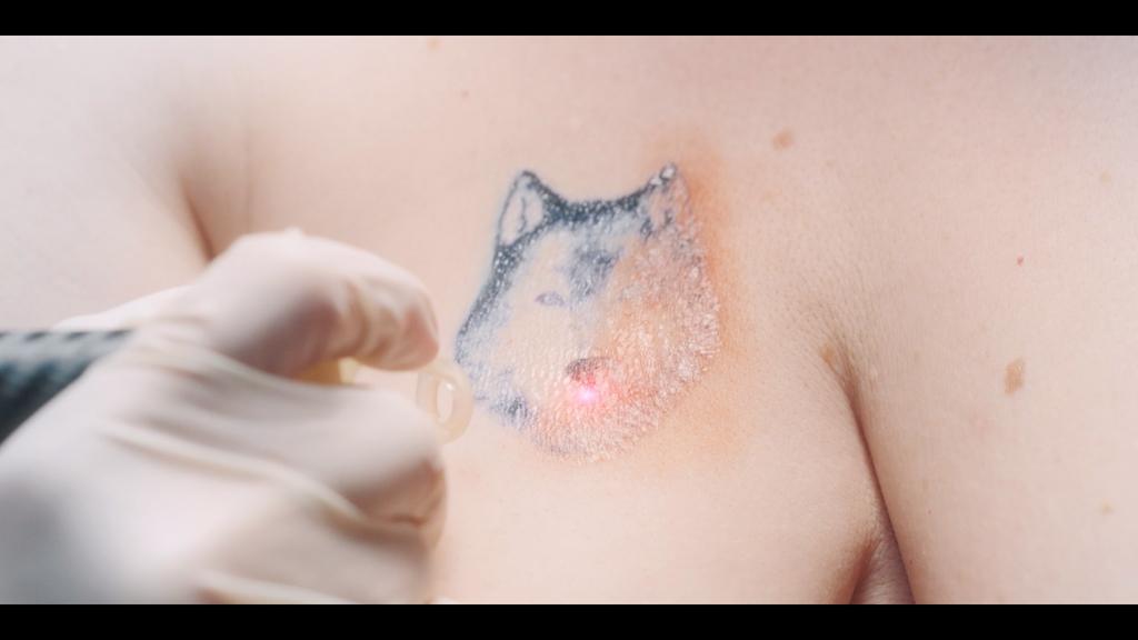 Les D&eacute;sancr&eacute;.e.s