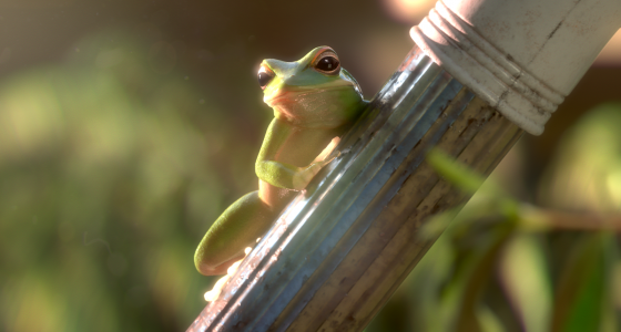 El Cine Franc&eacute;s de Hoy en Kazajist&aacute;n - 2018