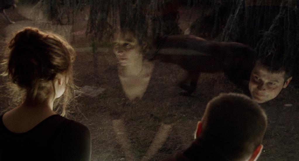 Murmures du loup Murmures du loup