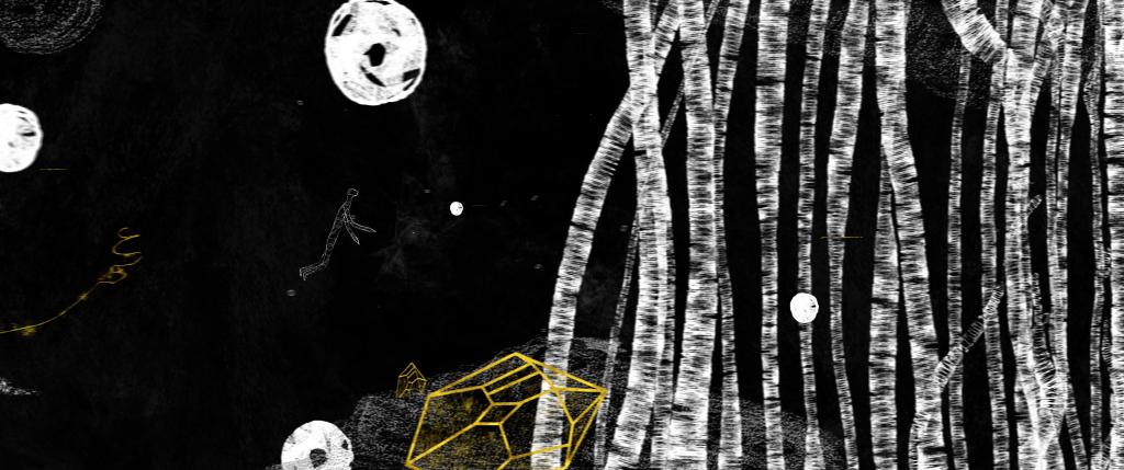 Quantum Shadow Quantum Shadow