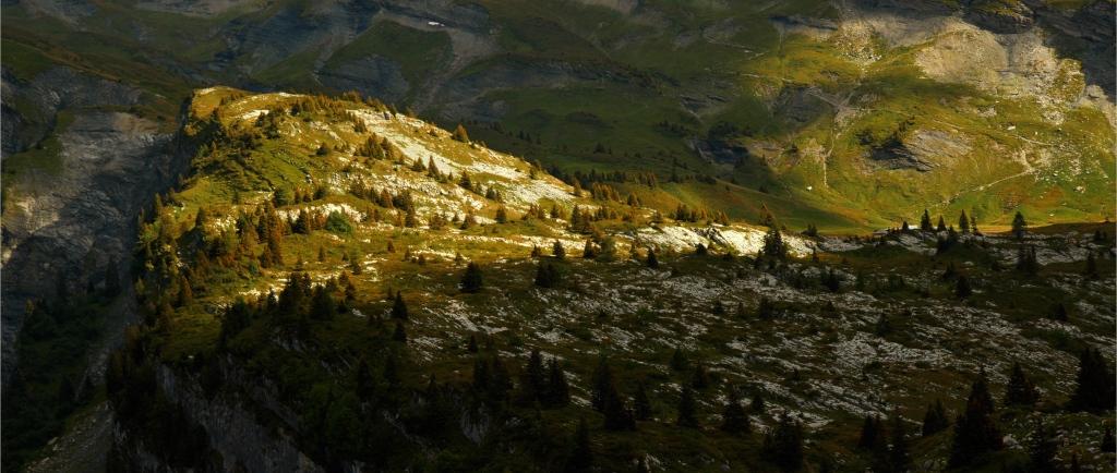 Un chalet au pied des Fiz Un chalet au pied des Fiz