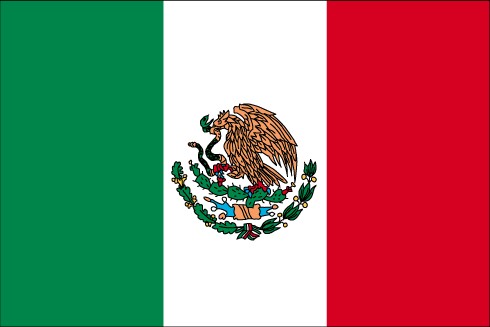 Market Report: Mexico 2004