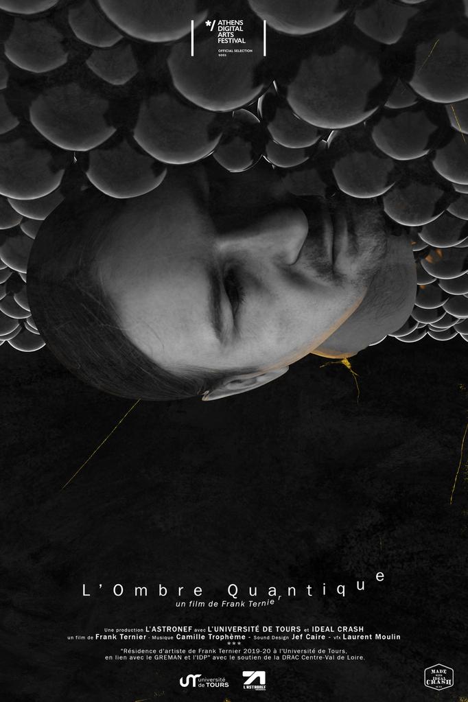 Quantum Shadow Quantum Shadow