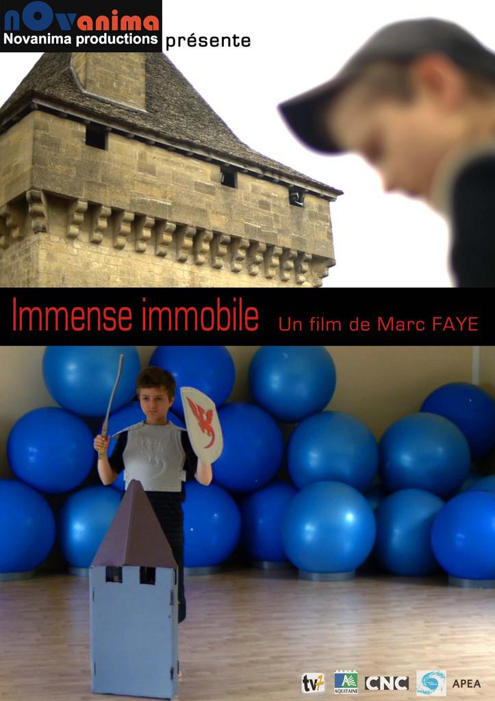 Immense Immobile Immense Immobile
