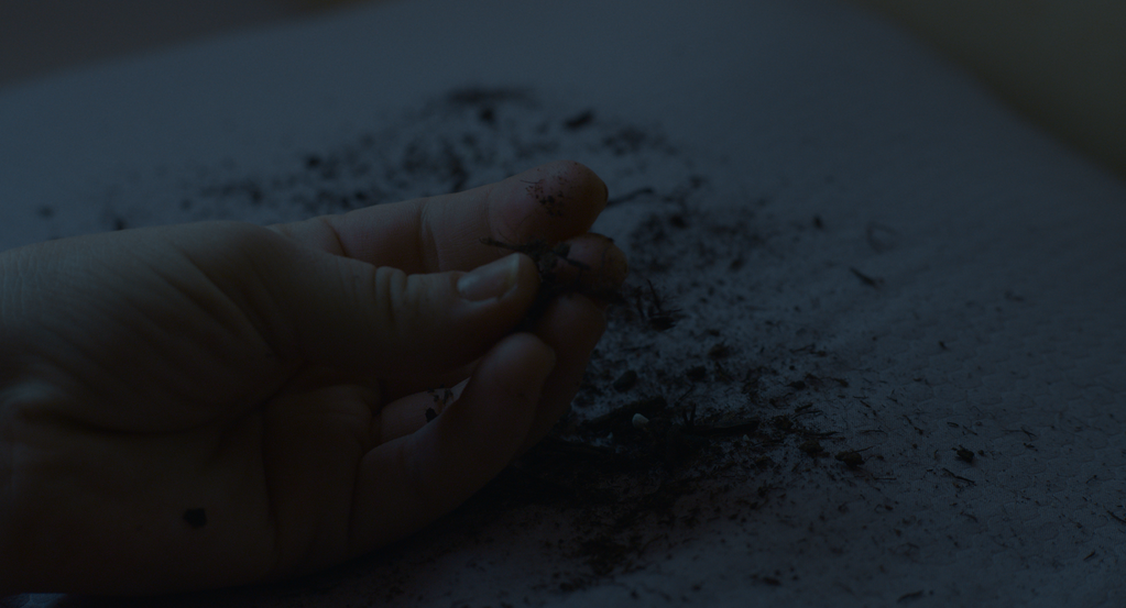 Midnight Skin Midnight Skin