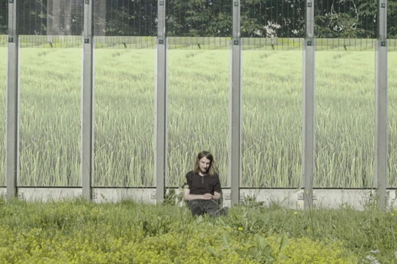 Marie-Violaine Brincard