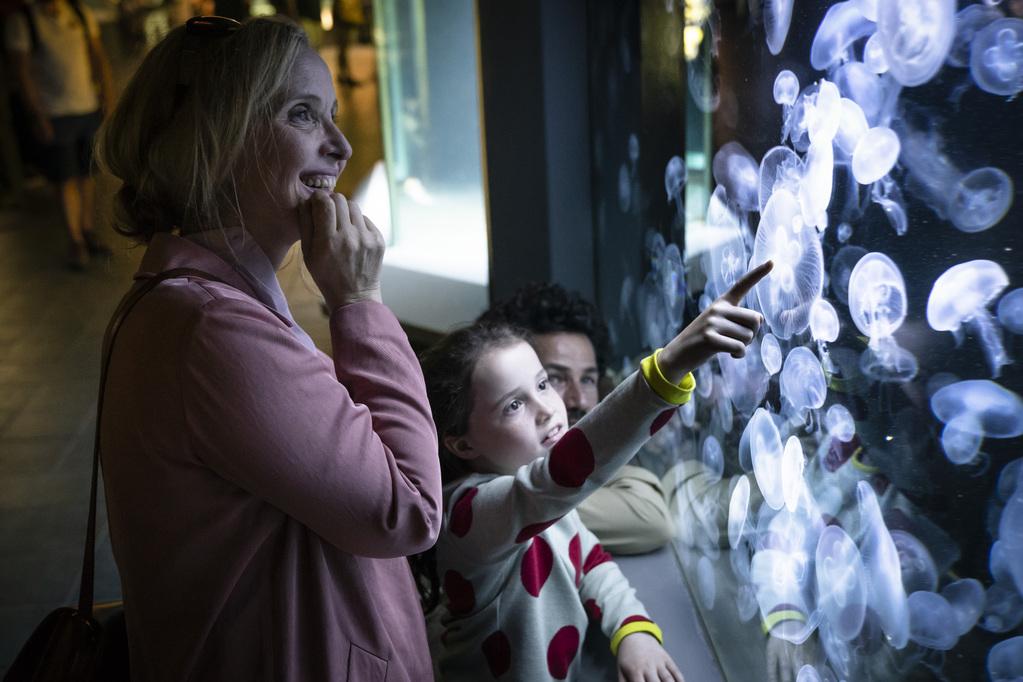 Sophia Ally - &copy; Electrick_Films_Temp&ecirc;te_sous_le_cr&acirc;ne_UGC_Images