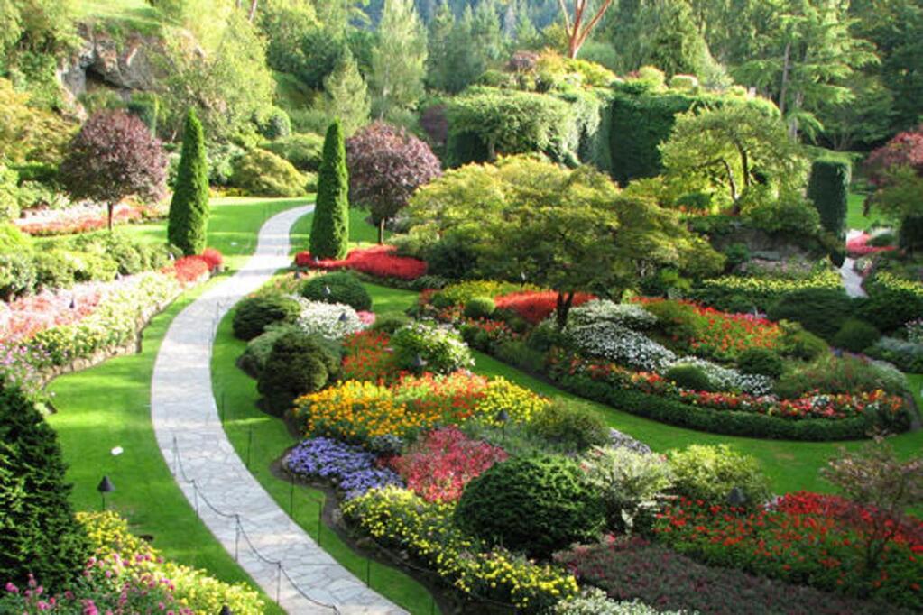 Amazing Gardens Amazing Gardens