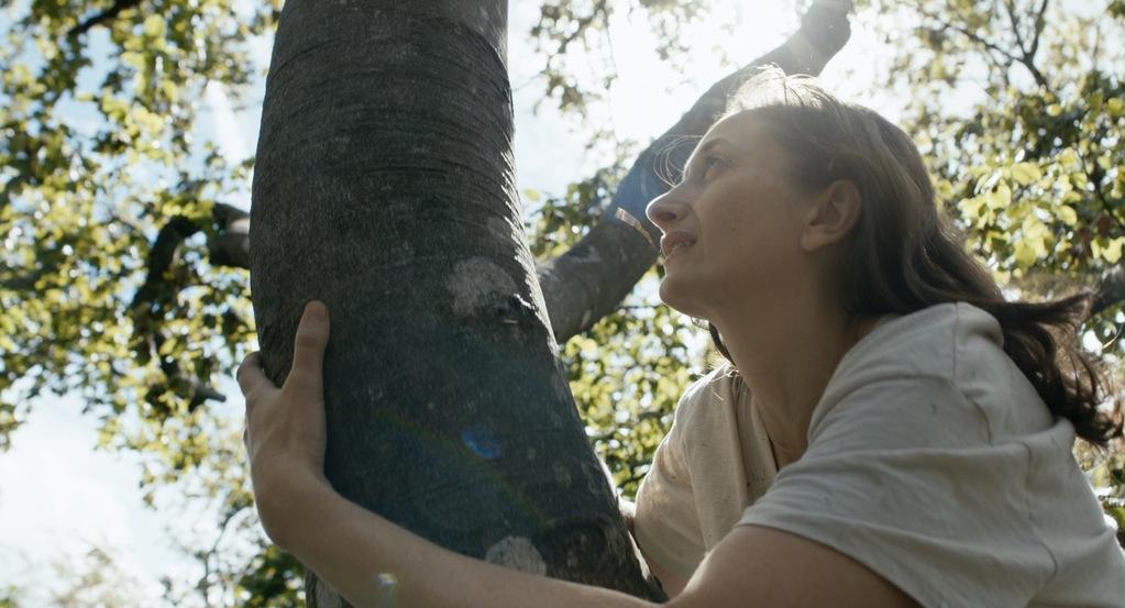 The Big Green The Big Green