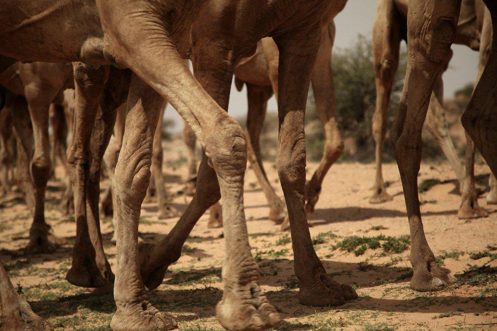 Val&eacute;rie Delpierre