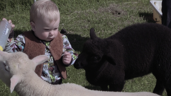 Mains d'&OElig;uvres