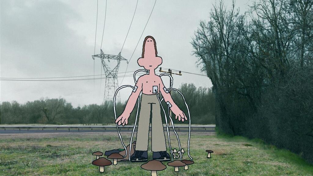 Tête de cèpe Tête de cèpe