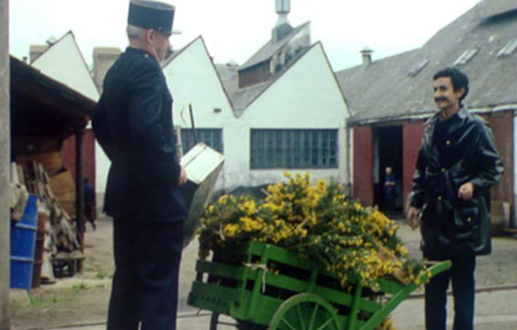 L'Alternativa - 2025