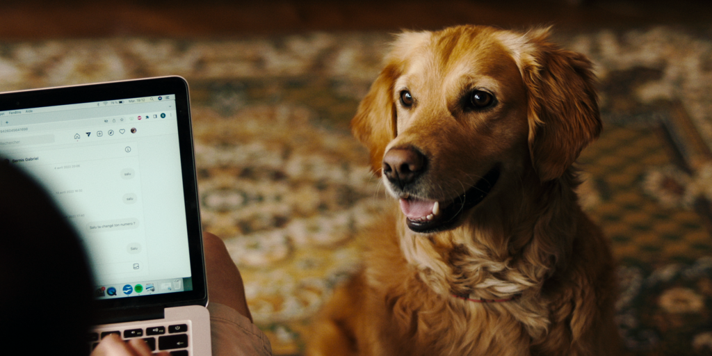 Merci la famille Merci la famille