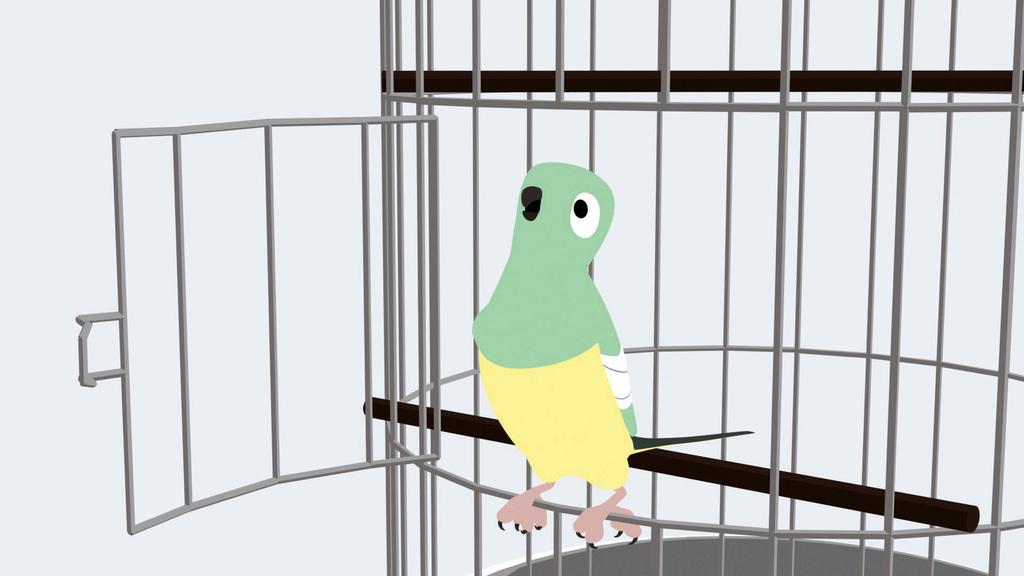 Nearly There! Nearly There!